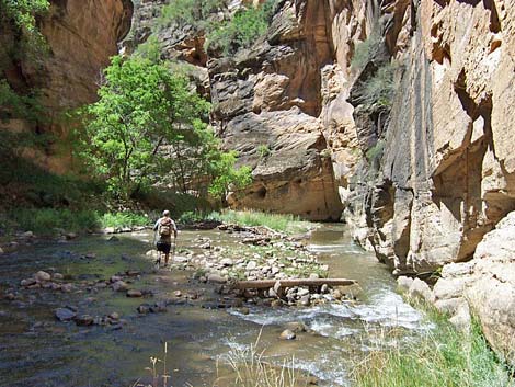 Zion Virgin River Narrows