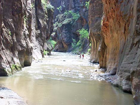 Zion Virgin River Narrows