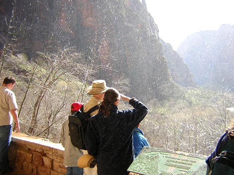 Weeping Rock Trail