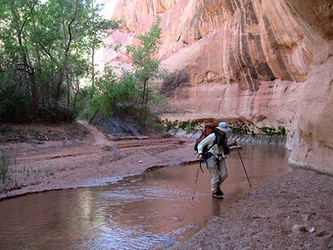 Coyote Gulch