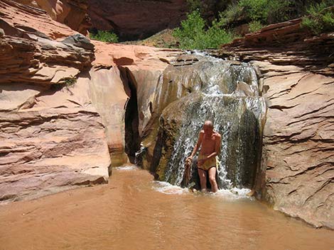 Coyote Gulch