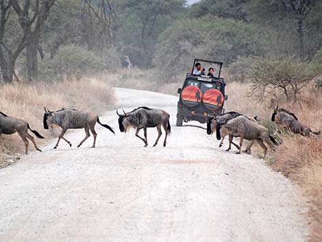 Tanzania