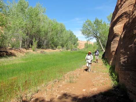 Coyote Gulch