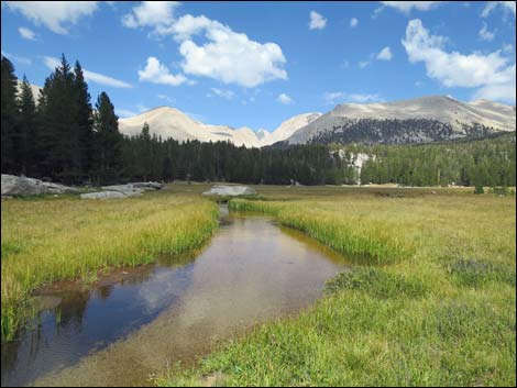 John Muir Trail