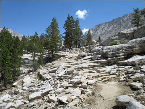 John Muir Trail