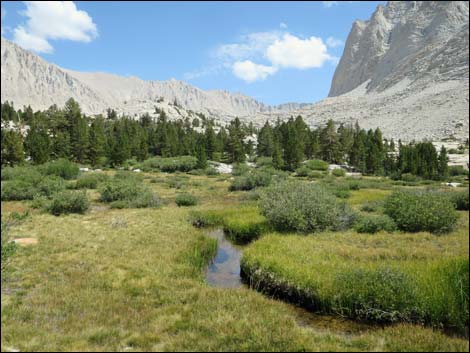 John Muir Trail