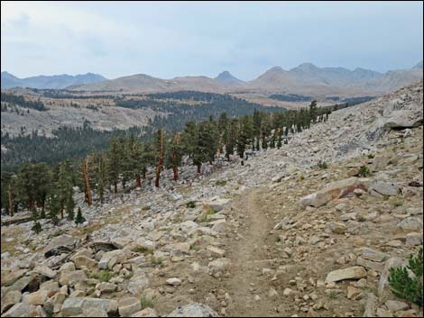 John Muir Trail