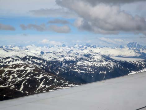 Alaska Birding