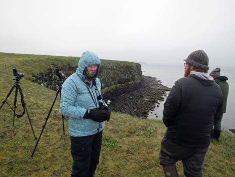 Alaska Birding