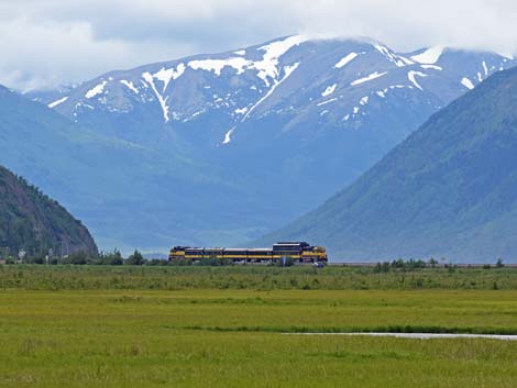 Seward birding