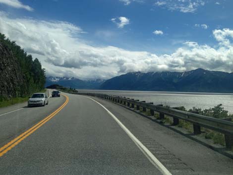 Seward birding