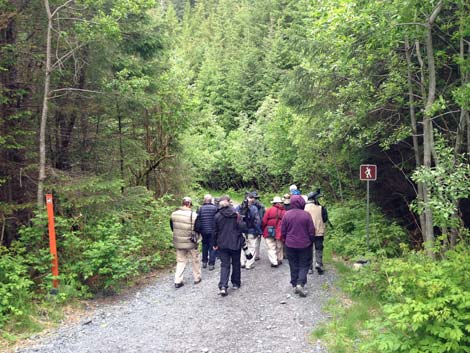 Seward Birding