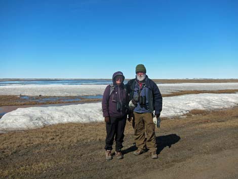 Barrow birding