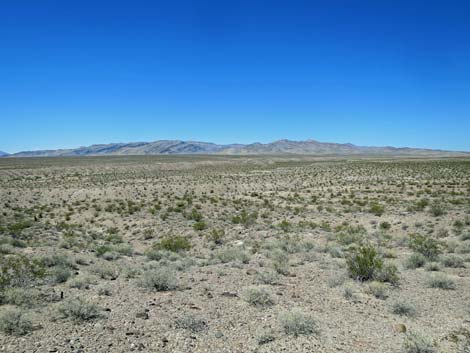 Delamar Mountains Wilderness Area