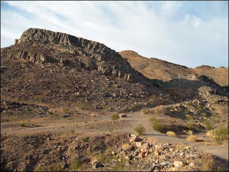 Cadiz Trilobite Quarry