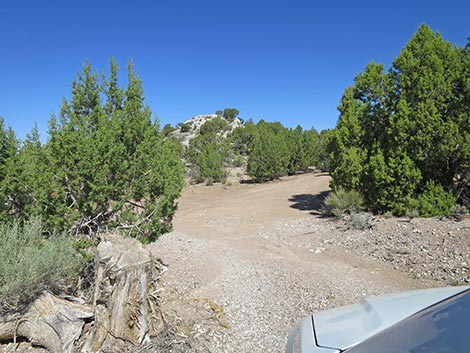 Oak Springs Trilobite Site
