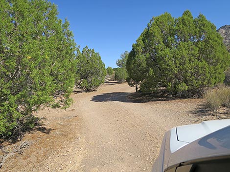 Oak Springs Trilobite Site