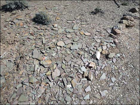 Oak Springs Trilobite Site