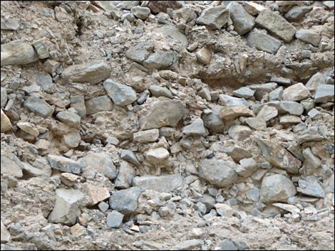 Conglomerate Rocks