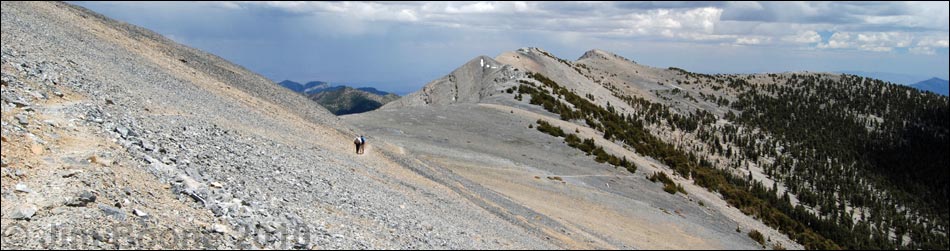 Alpine Tundra (Alpine Life Zone)