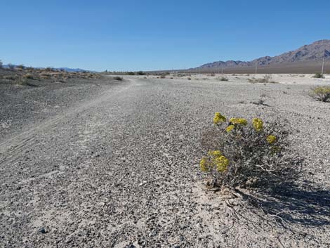 Aliente Loop Trail