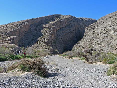 Arrow Canyon Range Wilderness Area