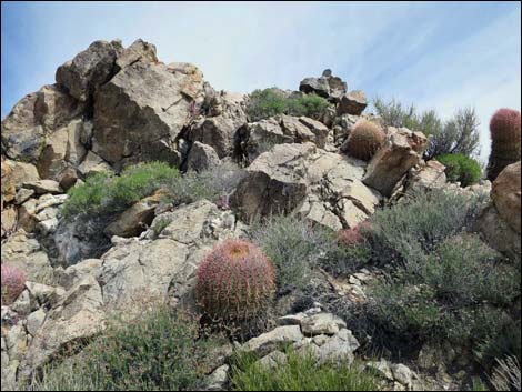 Jumbo Springs Wilderness Area