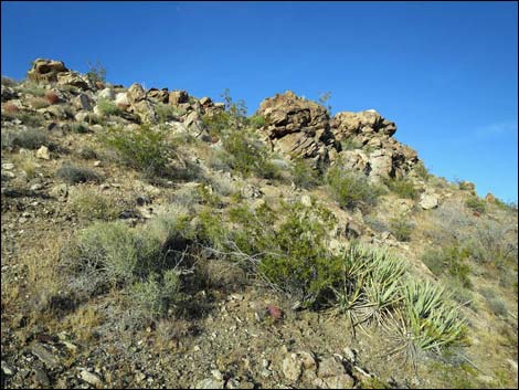 Jumbo Springs Wilderness Area