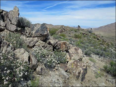 Jumbo Springs Wilderness Area