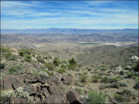 Jumbo Springs Wilderness Area