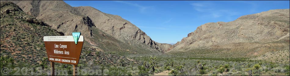 Lime Canyon Wilderness Area