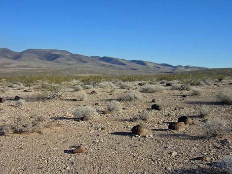 North McCullough Wilderness Area