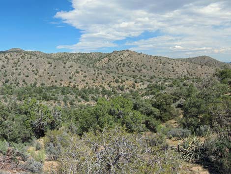 South McCullough Wilderness Area