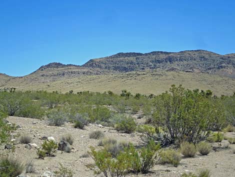 Meadow Valley Range Wilderness Area