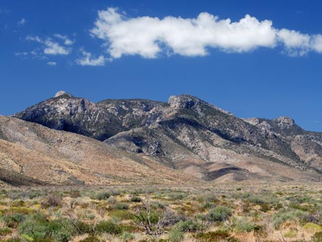 Mormon Mountains Wilderness Area