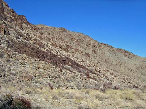 Nellis Wash Wilderness Area