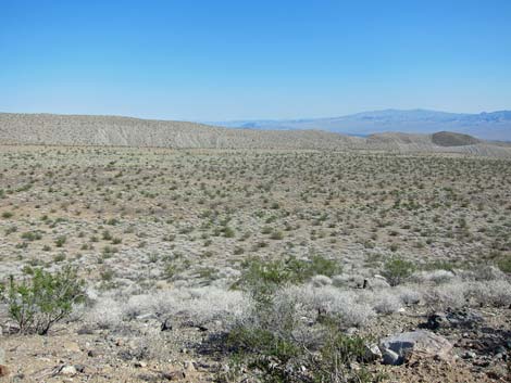 Nellis Wash