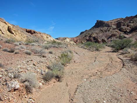 Pinto Valley Wilderness Area