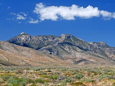 Mormon Mountains Wilderness Area