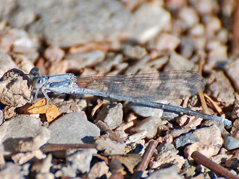 Wetlands Park