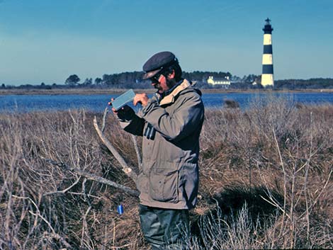 Cumberland Island